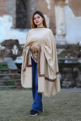 Elegant Accrue Beige Colour Semi Pashmina Sozni Shawl With Beautiful Border Owning A Unique Accessory.